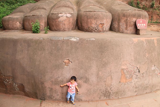 1-Day Chengdu Panda Base and Leshan Giant Buddha GROUP Tour - Early pickup from central Chengdu