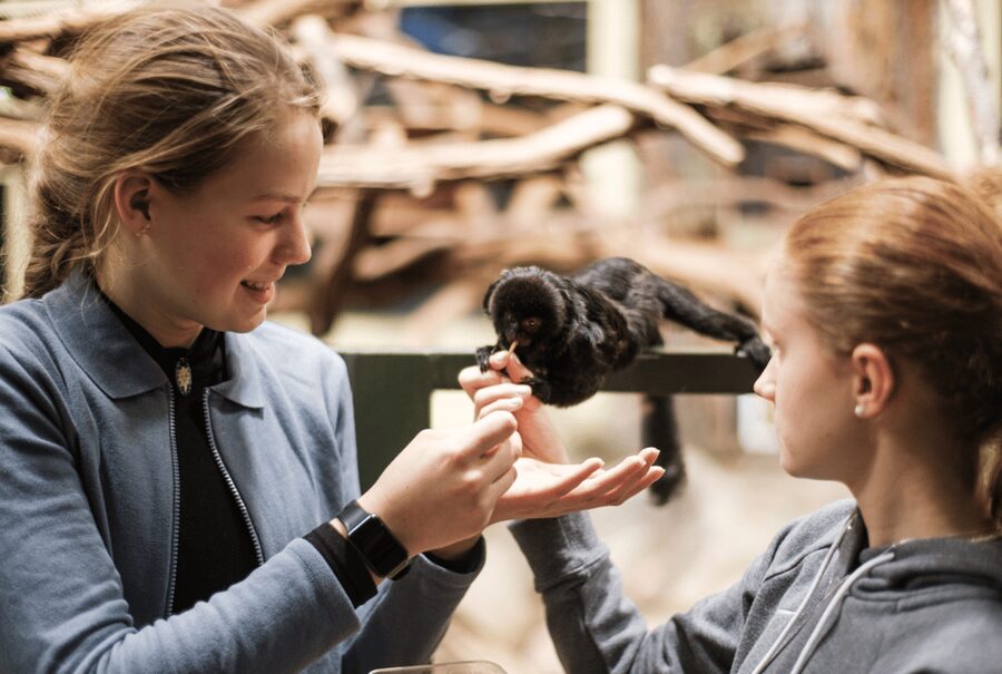 1-day ticket for Schwerin Zoo - Key points for planning your zoo day