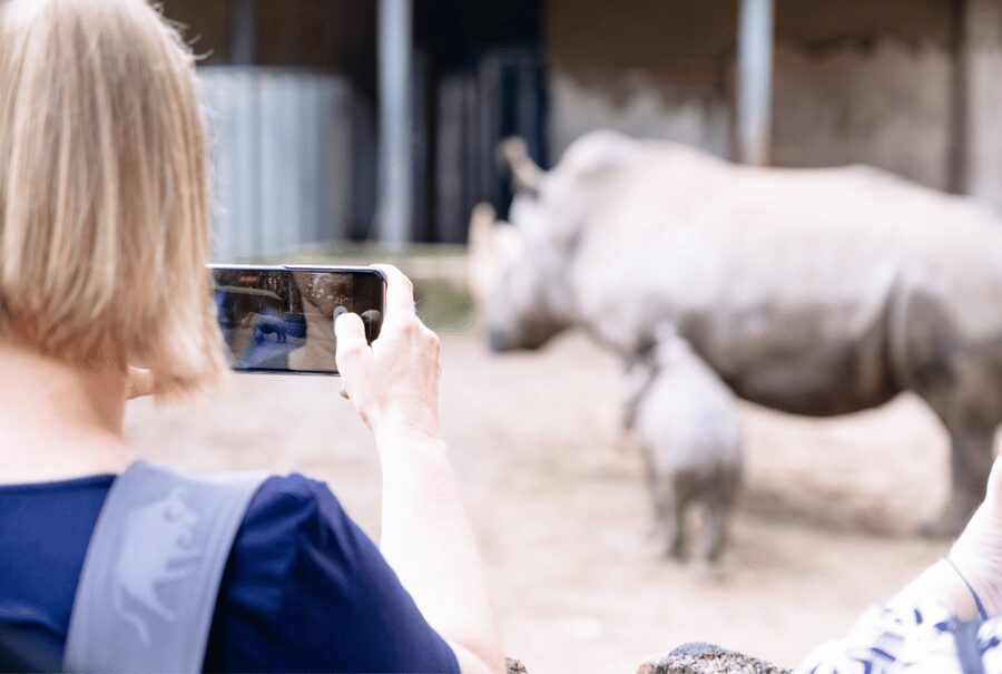 1-day ticket for Schwerin Zoo - Food, drinks, and useful breaks