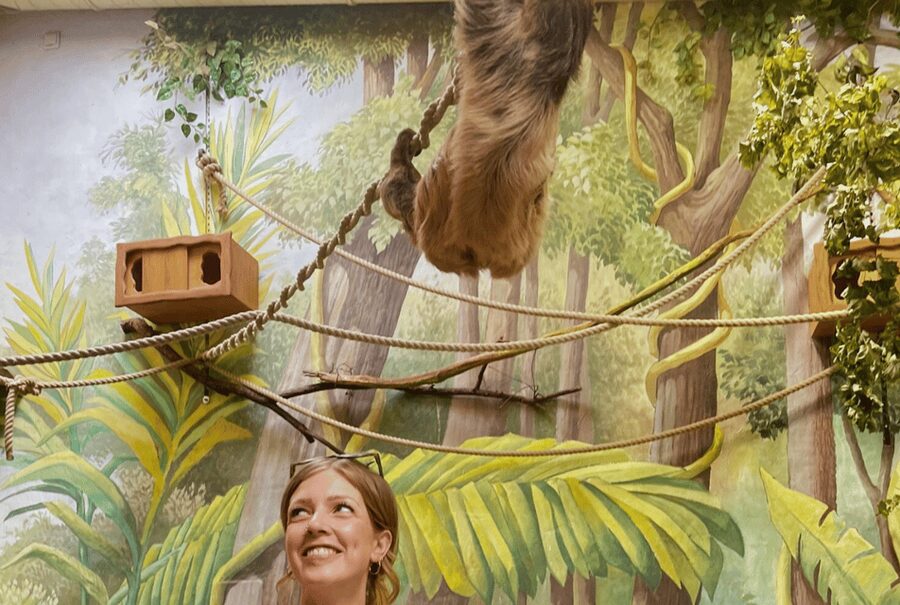 1-day ticket for Schwerin Zoo - What the visit feels like with children