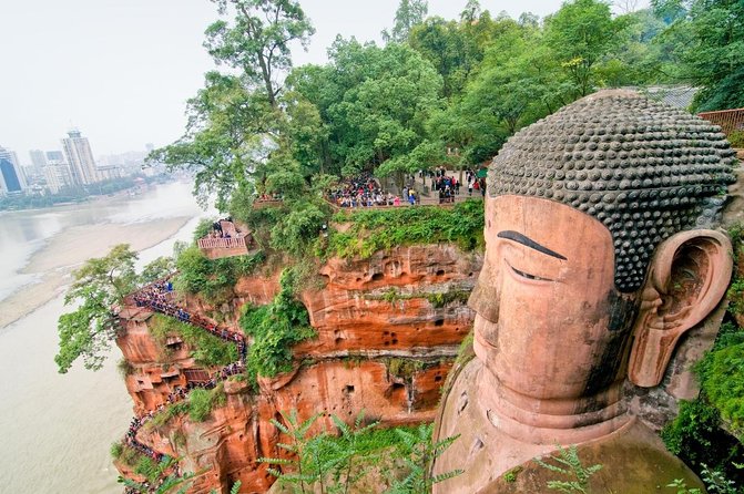 2-Day Tour of Chengdu Panda Base and Leshan Giant Buddha - Key points at a glance