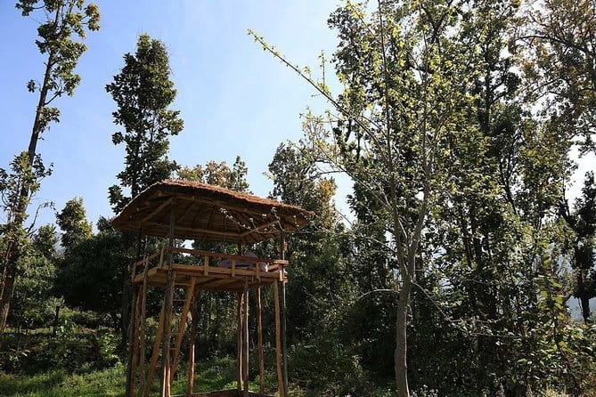 3 Day Camping Trip to Binsar Wildlife Sanctuary - Day 3: River time and Himalayan views