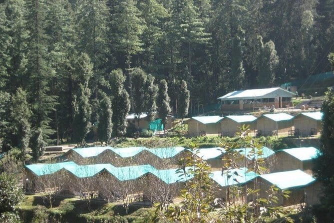 3 Day Camping Trip to Binsar Wildlife Sanctuary - What the $46.31 price really covers