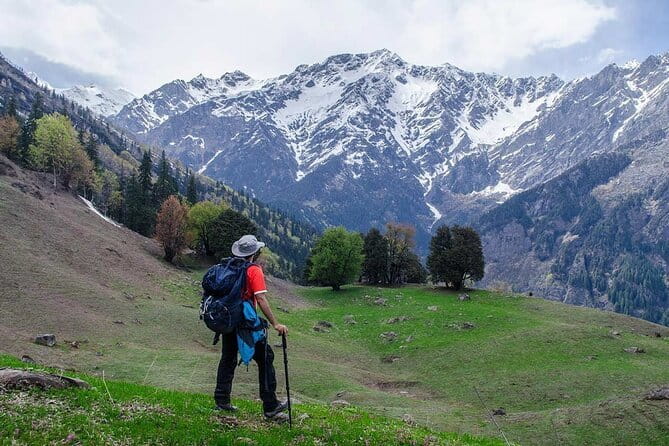 3 Day Camping Trip to Binsar Wildlife Sanctuary - Day 2: Forest paths, a waterfall, and Sontri Village