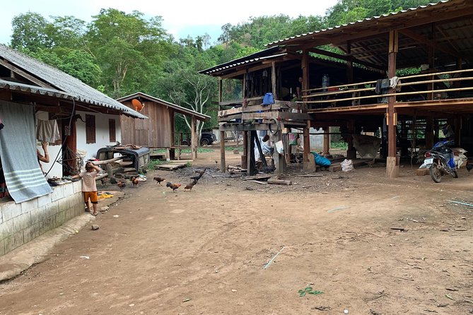 3-Day Kindred Spirit Elephant Sanctuary Chiang Mai - Day 3: One more forest morning