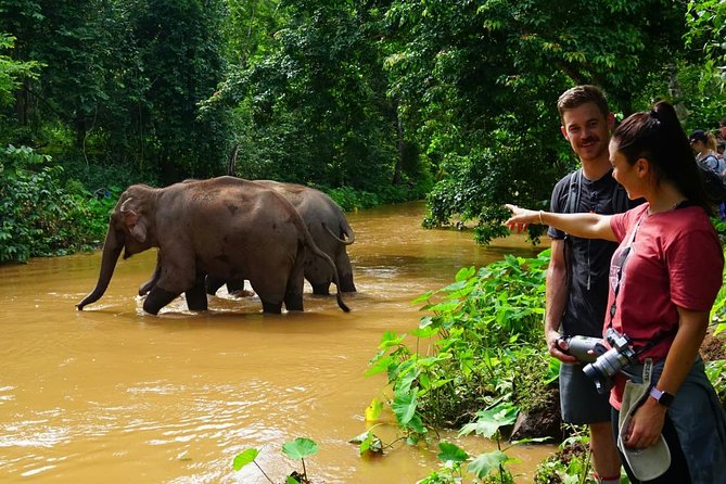 3-Day Kindred Spirit Elephant Sanctuary Chiang Mai - Who will enjoy this trip most