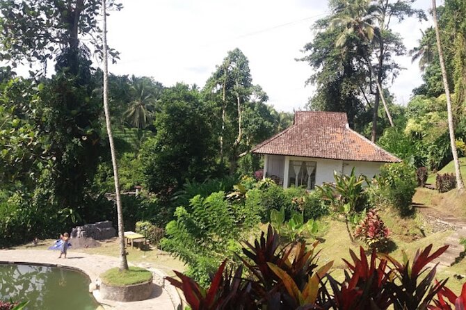 4-Hour Private Tour in Jatiluwih Terraces and Butterfly Park - Penatahan Hot Spring: a quiet final stop
