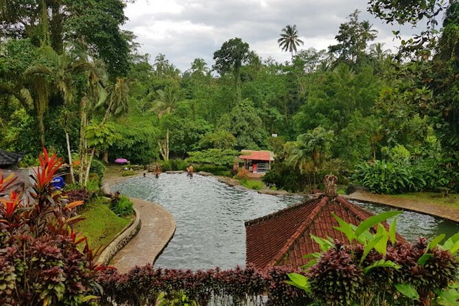 4-Hour Private Tour in Jatiluwih Terraces and Butterfly Park - Is $70 a good value?
