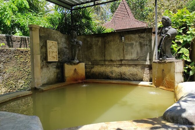 4-Hour Private Tour in Jatiluwih Terraces and Butterfly Park - Who will enjoy this tour most?