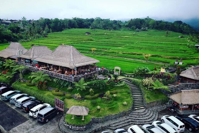 4-Hour Private Tour in Jatiluwih Terraces and Butterfly Park - Jatiluwih Green Land: Bali’s broadest rice-field views