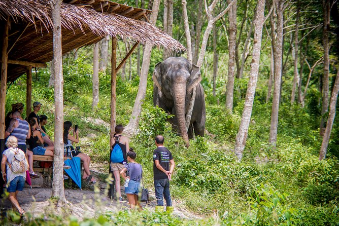 Elephant sanctuaries