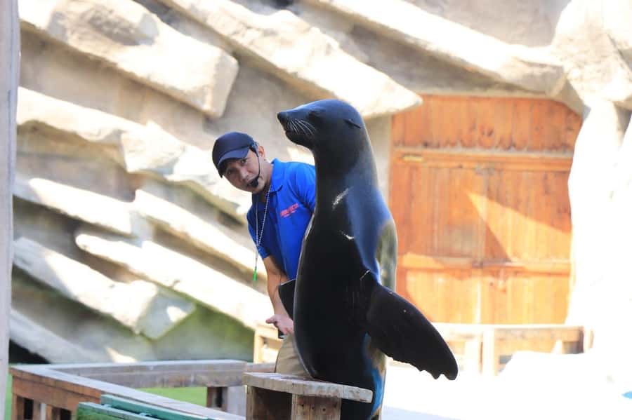 Abu Dhabi: Emirates Park Zoo Entry Ticket - Visit Animal Paradise and Flamingo Park
