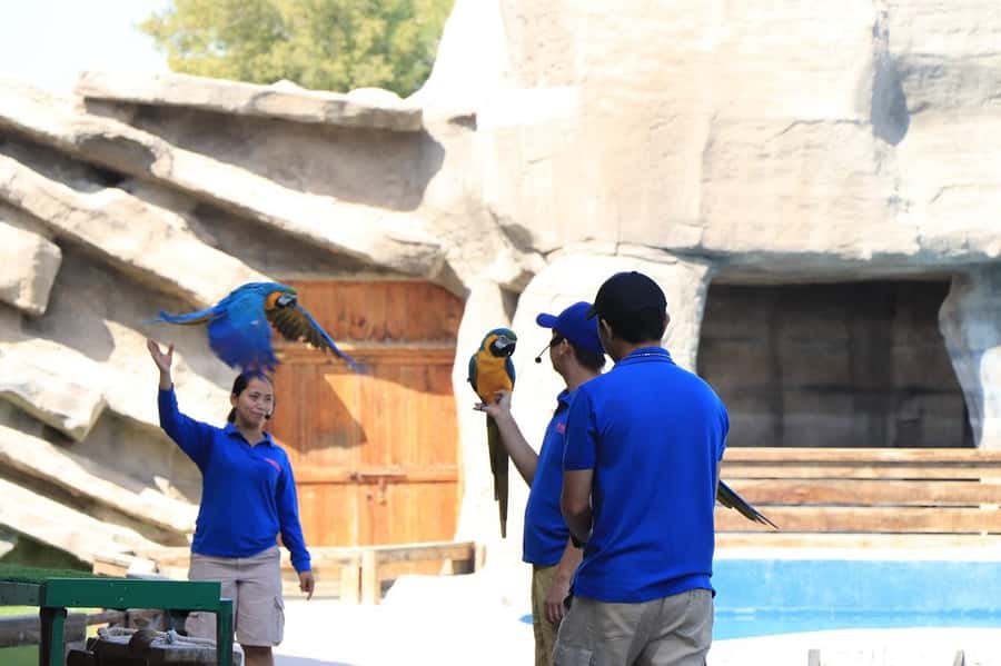 Abu Dhabi: Emirates Park Zoo Entry Ticket - Make time for the Petting Zoo