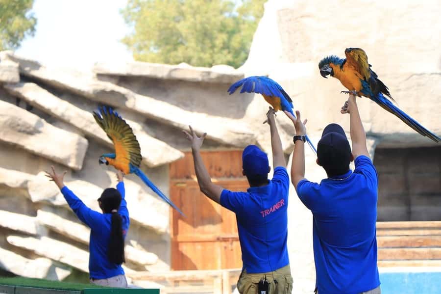 Abu Dhabi: Emirates Park Zoo Entry Ticket - Find blue monkeys and velvet monkeys in Primate Paradise