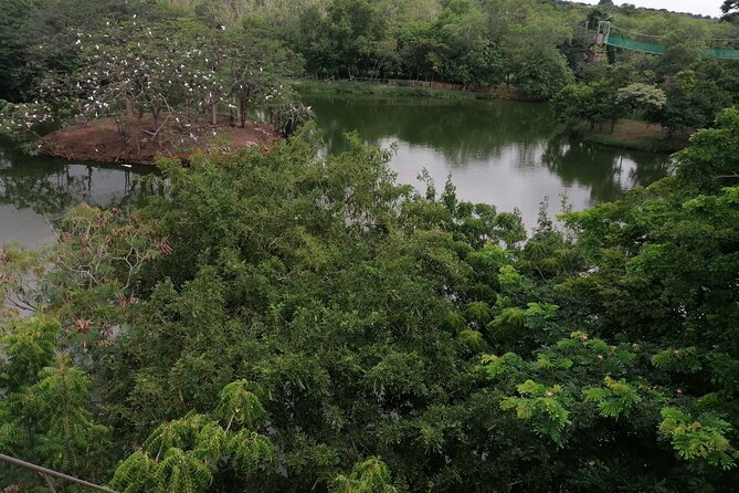 Accra Zoo, Canopy Walk and Botanical Gardens Private Tour - Accra Zoo: Lions, Crocodiles, and Native Animals