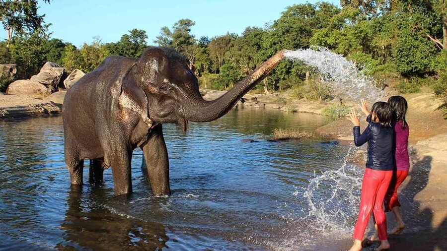 Agra: Taj Mahal, Fort & Elephant Sanctuary Private Tour - Is the $2.89 price really good value?