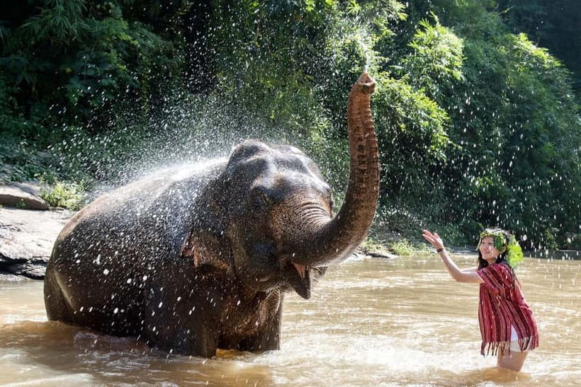Agra: Taj Mahal, Fort & Elephant Sanctuary Private Tour - A 5:00 am start for the Taj Mahal