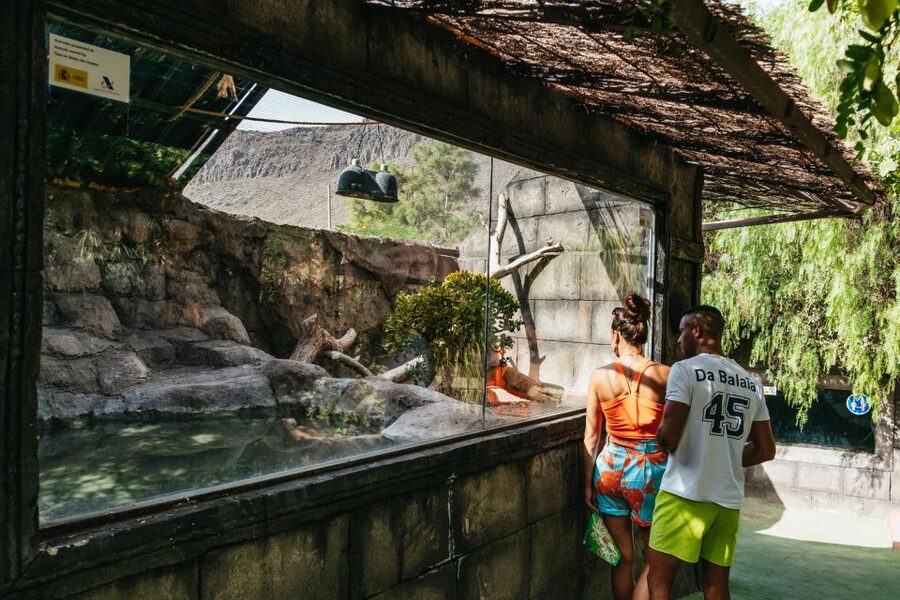 Agüimes: Cocodrilo Park Zoo Entry Ticket - How long should you plan to stay?