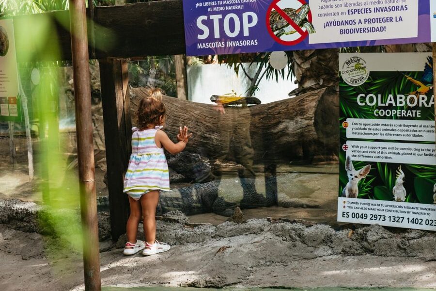 Agüimes: Cocodrilo Park Zoo Entry Ticket - Who will enjoy Cocodrilo Park most?