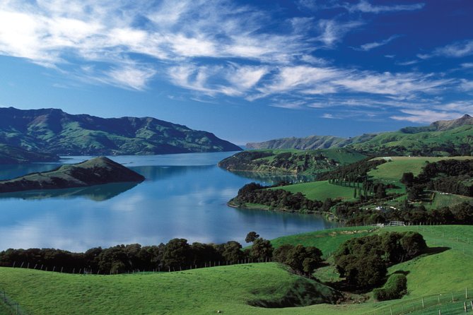 Akaroa Shore Excursion: Banks Peninsula, Christchurch City Tour and Willowbank Wildlife Reserve - A long scenic road from Akaroa