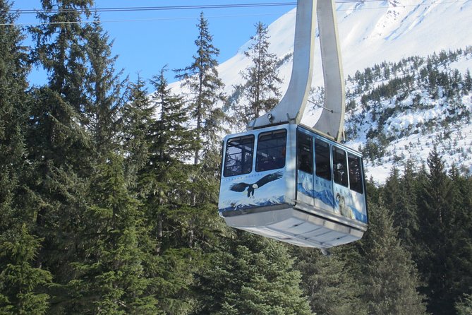 Alaska Wildlife Center and Turnagain Arm Tour w/Alyeska Tram - Why this Anchorage outing works well