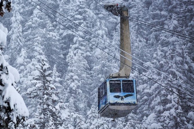 Alaska Wildlife Center and Turnagain Arm Tour w/Alyeska Tram - Should you book the Turnagain Arm and Alyeska outing?