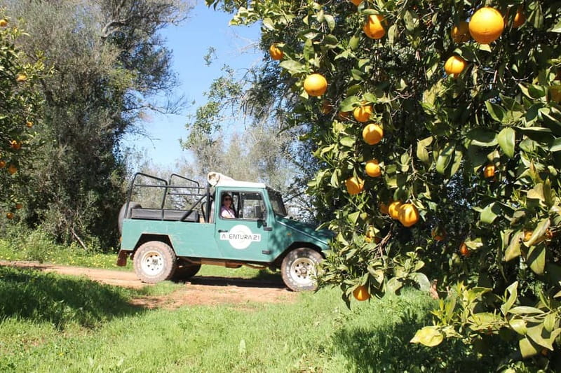 Albufeira Jeep Safari with Zoo - Krazy World brings the family energy