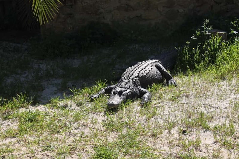Albufeira Jeep Safari with Zoo - What the $58 price really covers