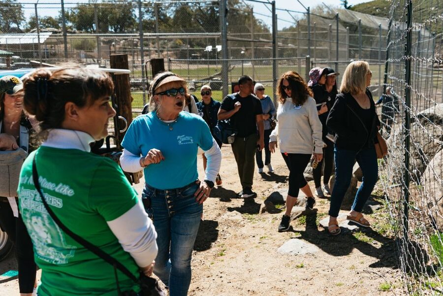 Alpine: Lions Tigers & Bears Animal Sanctuary Guided Visit - What the $55 admission is really buying