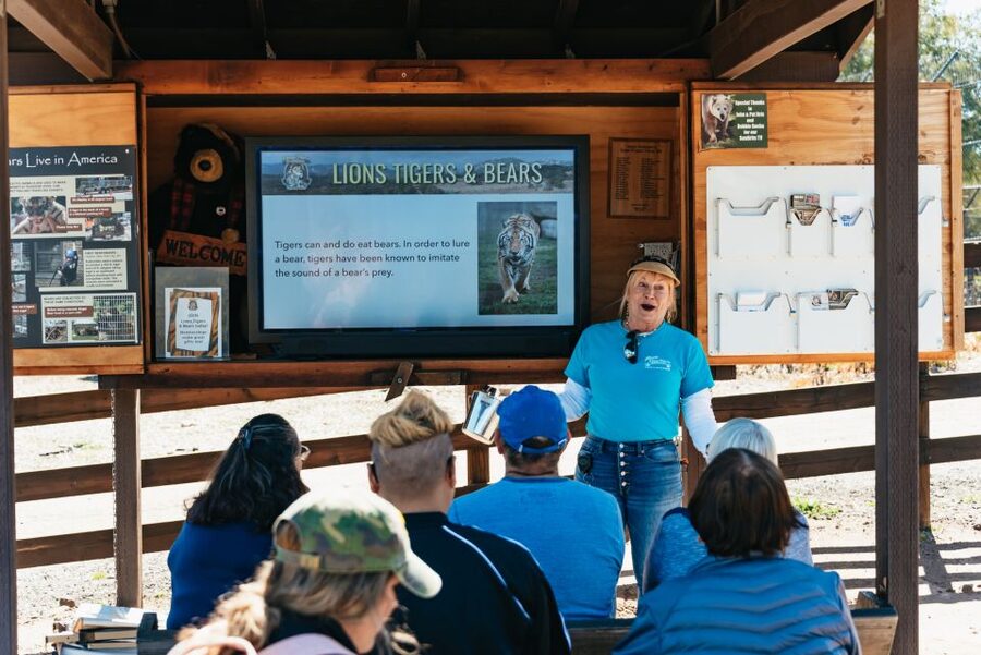 Alpine: Lions Tigers & Bears Animal Sanctuary Guided Visit - Who will enjoy this visit most