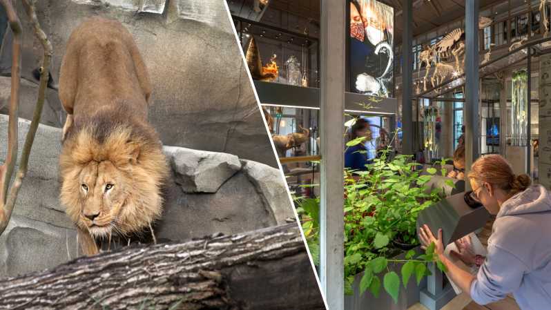 Amsterdam: ARTIS Royal Zoo and ARTIS Groote Museum Ticket - Start at ARTIS Groote Museum on Artisplein