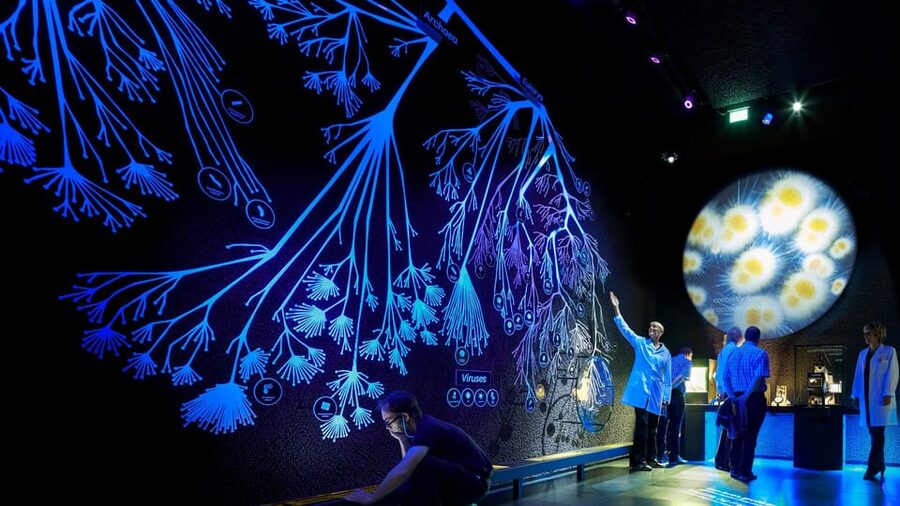 Amsterdam: Artis Royal Zoo & ARTIS-Micropia Combo Ticket - Who should book this combination?