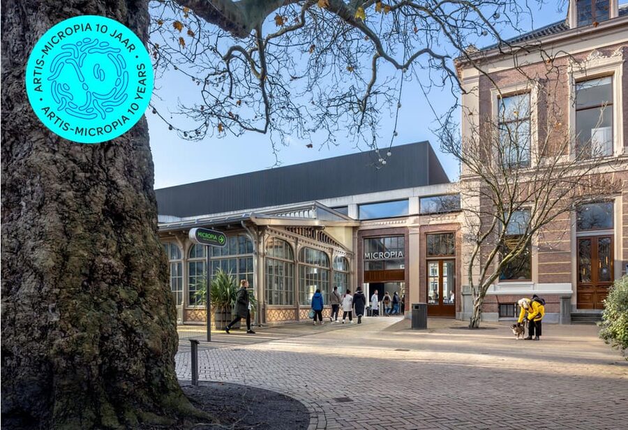 Amsterdam: Artis Royal Zoo & ARTIS-Micropia Combo Ticket - A zoo that rewards slow walking