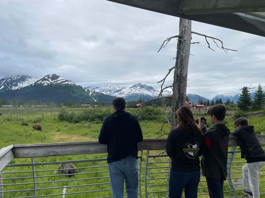 Anchorage: Scenic Tour to Wildlife Center with hotel pickup - Is $129 a fair price?