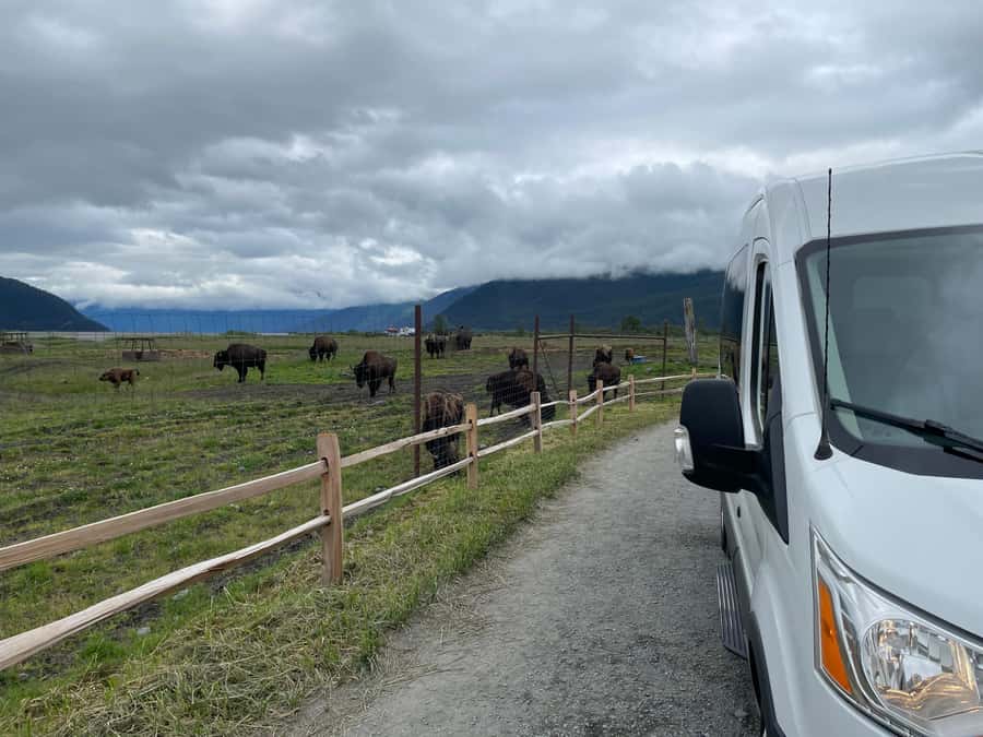 Anchorage: Scenic Tour to Wildlife Center with hotel pickup - Should you book it?
