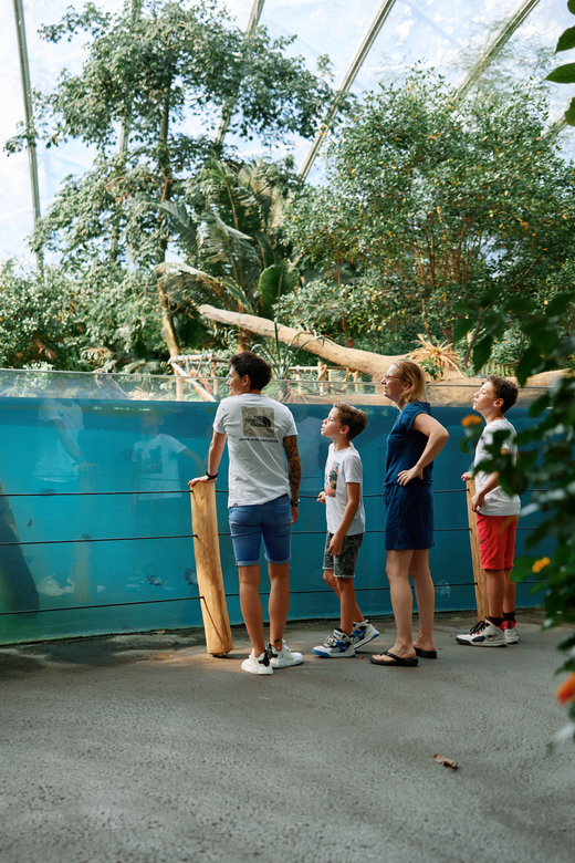 Arnhem: Burgers' Zoo Entry Ticket - From Mexican-American desert to tropical water