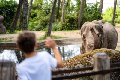 Arnhem: Burgers’ Zoo Entry Ticket
