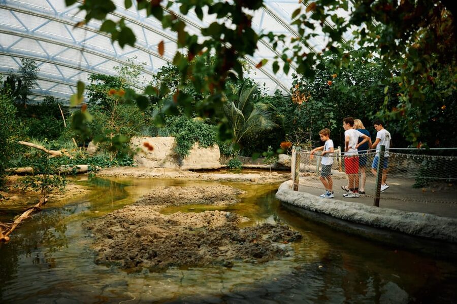 Arnhem: Burgers' Zoo Entry Ticket - How to plan an eight-hour visit