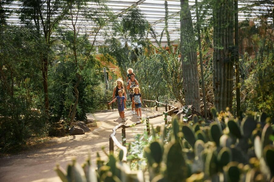 Arnhem: Burgers' Zoo Entry Ticket - Is $33 a fair price?