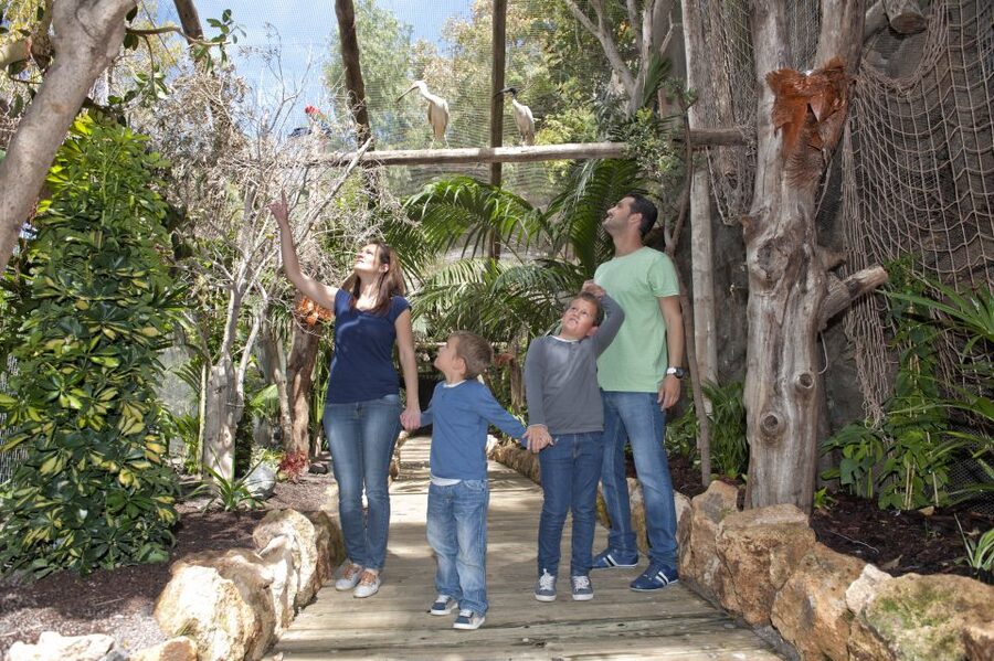 Arona: Entry Ticket to Tenerife's Jungle Park Zoo - Jungle Park feels like a zoo inside a garden