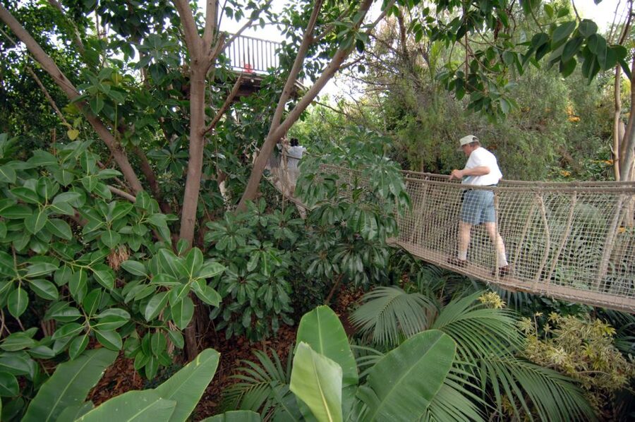 Arona: Entry Ticket to Tenerife's Jungle Park Zoo - Make the birds of prey show your first priority
