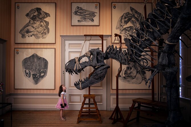 Art Zoo Museum Amsterdam Tickets - Key points to know before you go