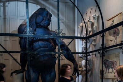 Art Zoo Museum Amsterdam Tickets