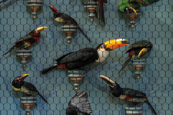 Art Zoo Museum Amsterdam Tickets - Why the audio tour improves the visit