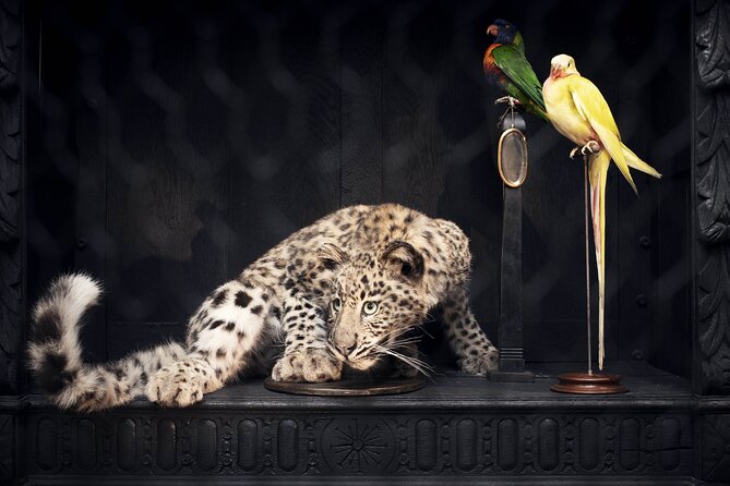 Art Zoo Museum Amsterdam Tickets - A visit that works well for families