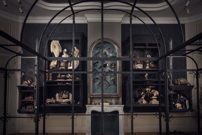 Art Zoo Museum Amsterdam Tickets - Finishing in the garden or Italian bar