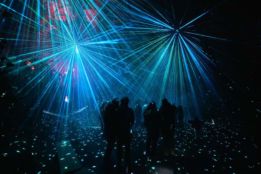 Astra Lumina Entry at Currumbin Wildlife Sanctuary - Key points at a glance