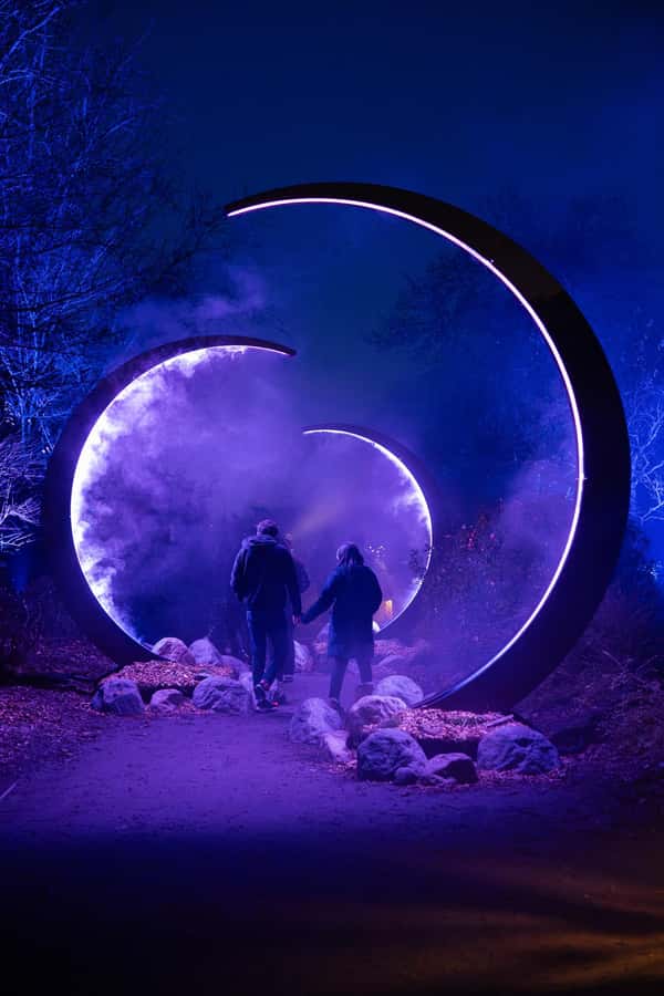 Astra Lumina Entry at Currumbin Wildlife Sanctuary - Entering Currumbin’s cosmic night walk