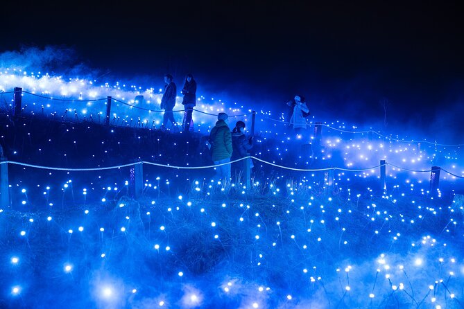 Astra Lumina Night Walk at Currumbin Wildlife Sanctuary - What the sound and fog effects add
