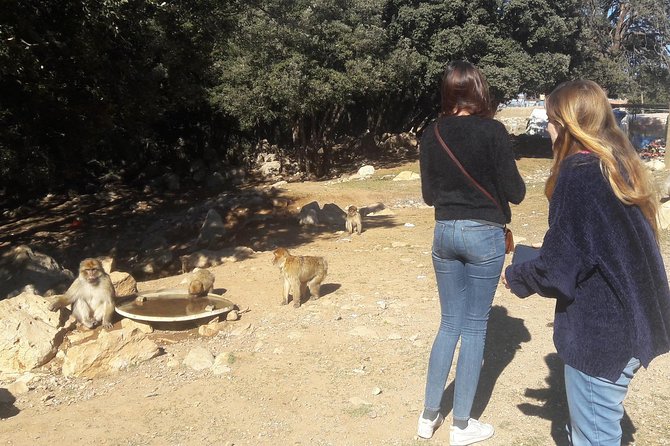 Atlas Mountains, Morocco: Ifrane, Azrou, Monkey Forest, Full Day Tour from Fez - Lunch and a slower hour in Azrou